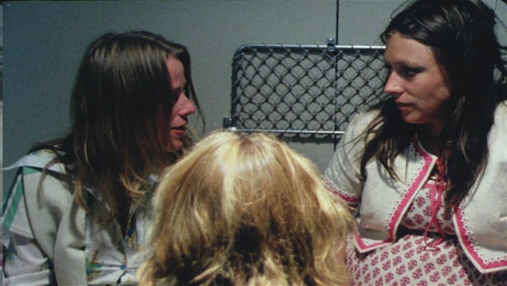 Wives (1975) Anja Breien, Anne Marie Ottersen, Katja Medbøe, Frøydis Armand, Comedy, Drama-poster