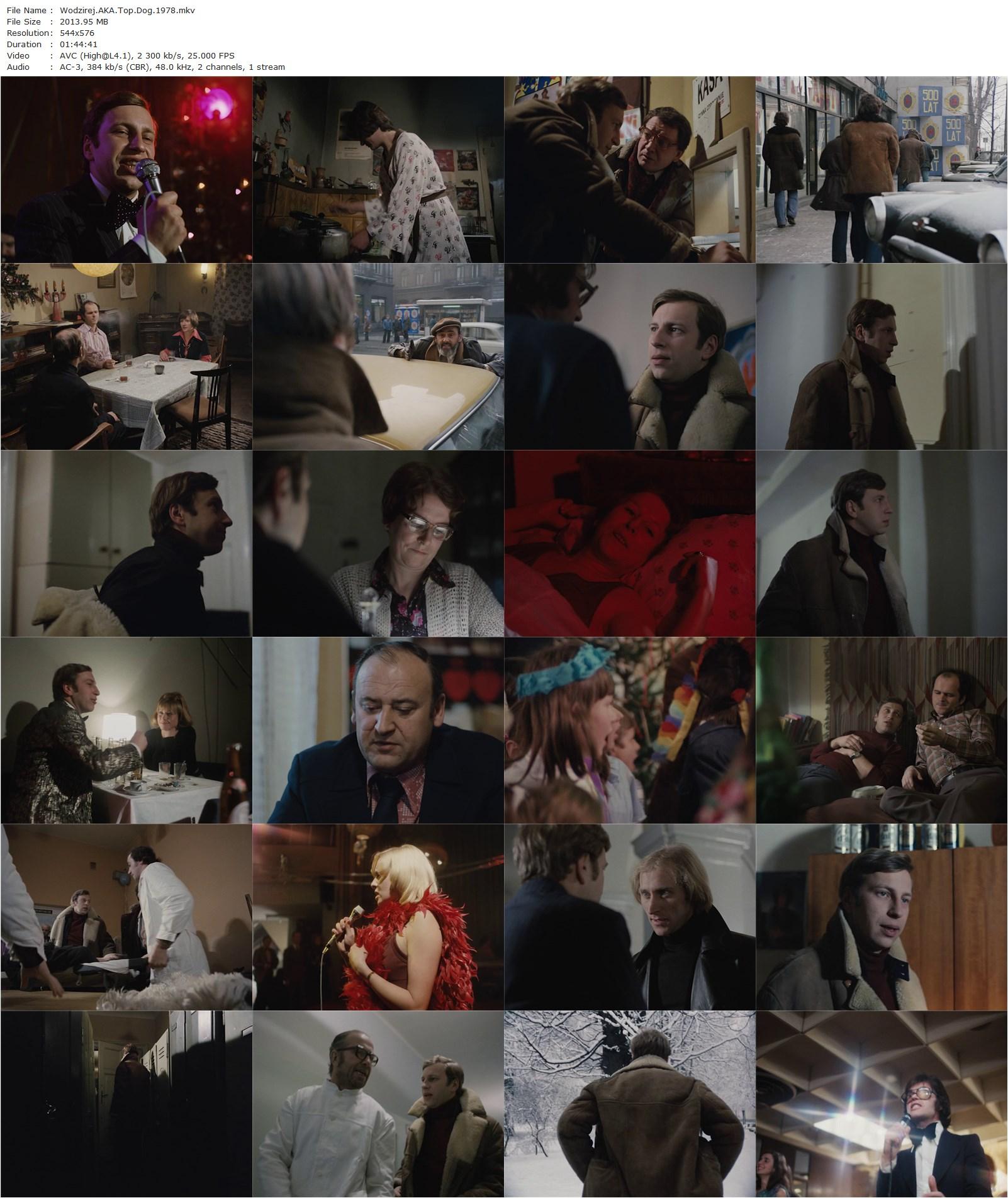 Wodzirej AKA Top Dog (1978) Feliks Falk, Jerzy Stuhr, Slawa Kwasniewska, Wiktor Sadecki-poster