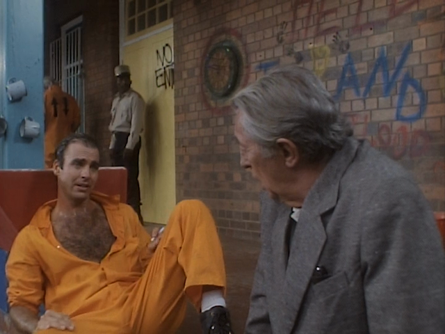 Woman of Desire (1994) by Robert Ginty-poster