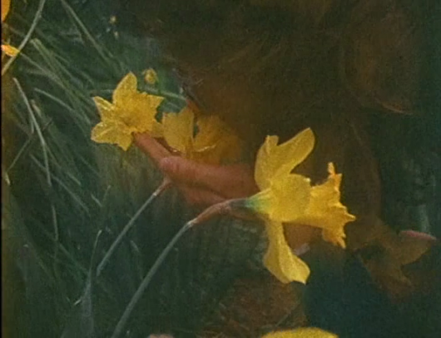 Barbara Hammer - Women I Love (1979)-poster