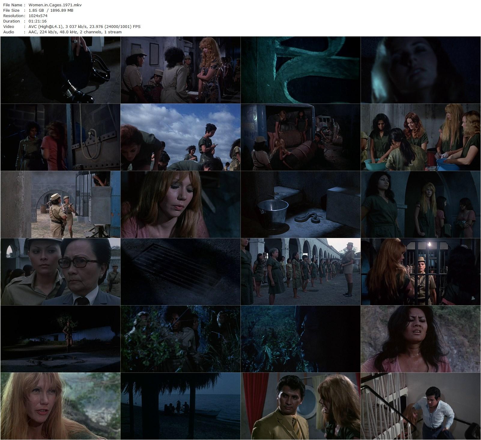 Women in Cages (1971) Gerardo de Leon, Judith Brown, Roberta Collins, Jennifer Gan-poster