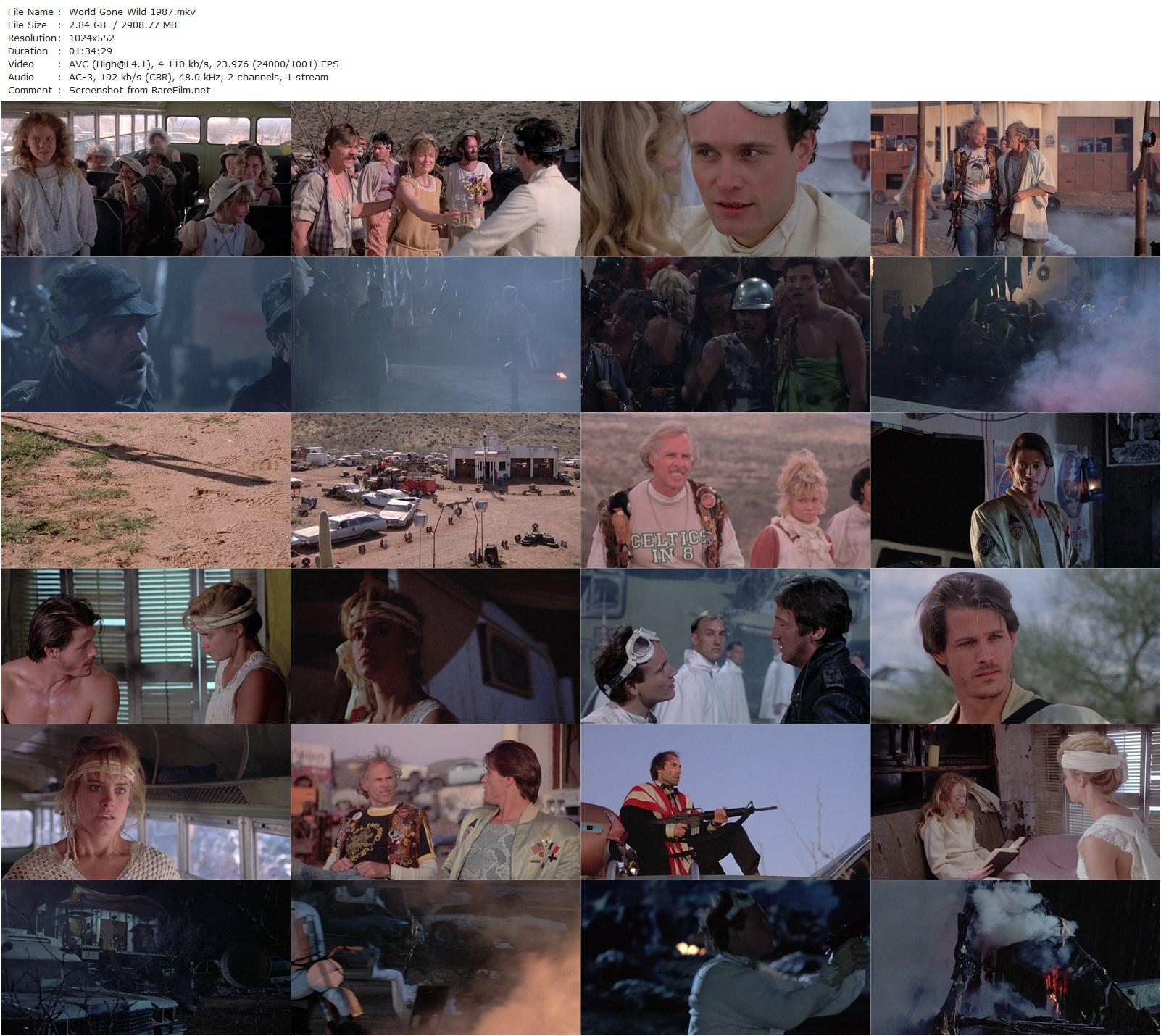 World Gone Wild (1987) Lee H. Katzin, Bruce Dern, Michael Paré, Catherine Mary Stewart-poster