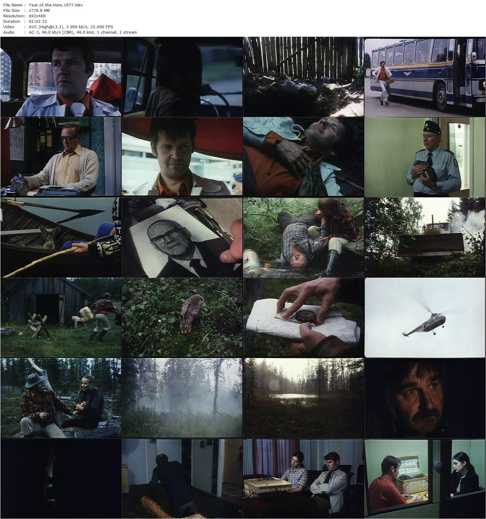 The Year of the Hare AKA Jäniksen vuosi (1977) Risto Jarva, Antti Litja, Kauko Helovirta, Markku Huhtamo-poster