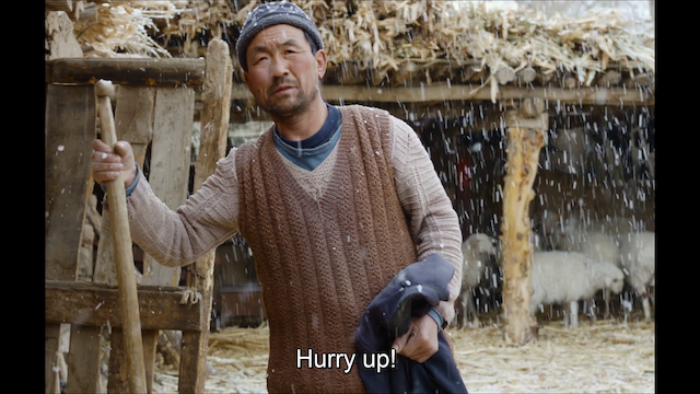 Yin ru chen yan (2022) (HD) | worldscinema.org | Free Download-poster