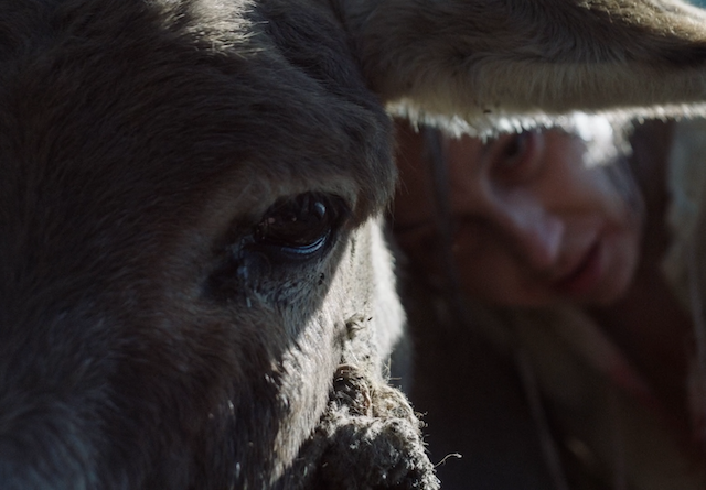 Goran Stolevski - You Won't Be Alone (2022)-poster