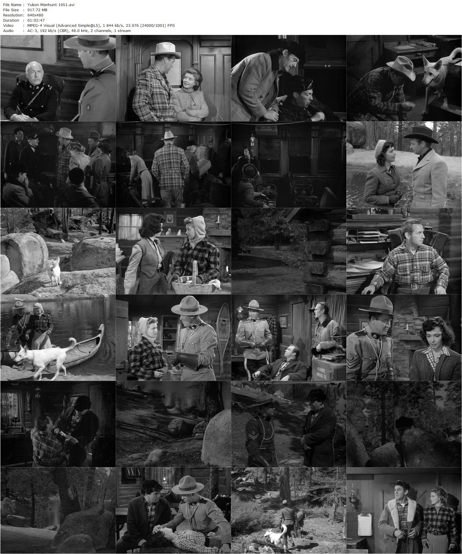 Yukon Manhunt (1951) Frank McDonald, Kirby Grant, Chinook, Gail Davis-poster