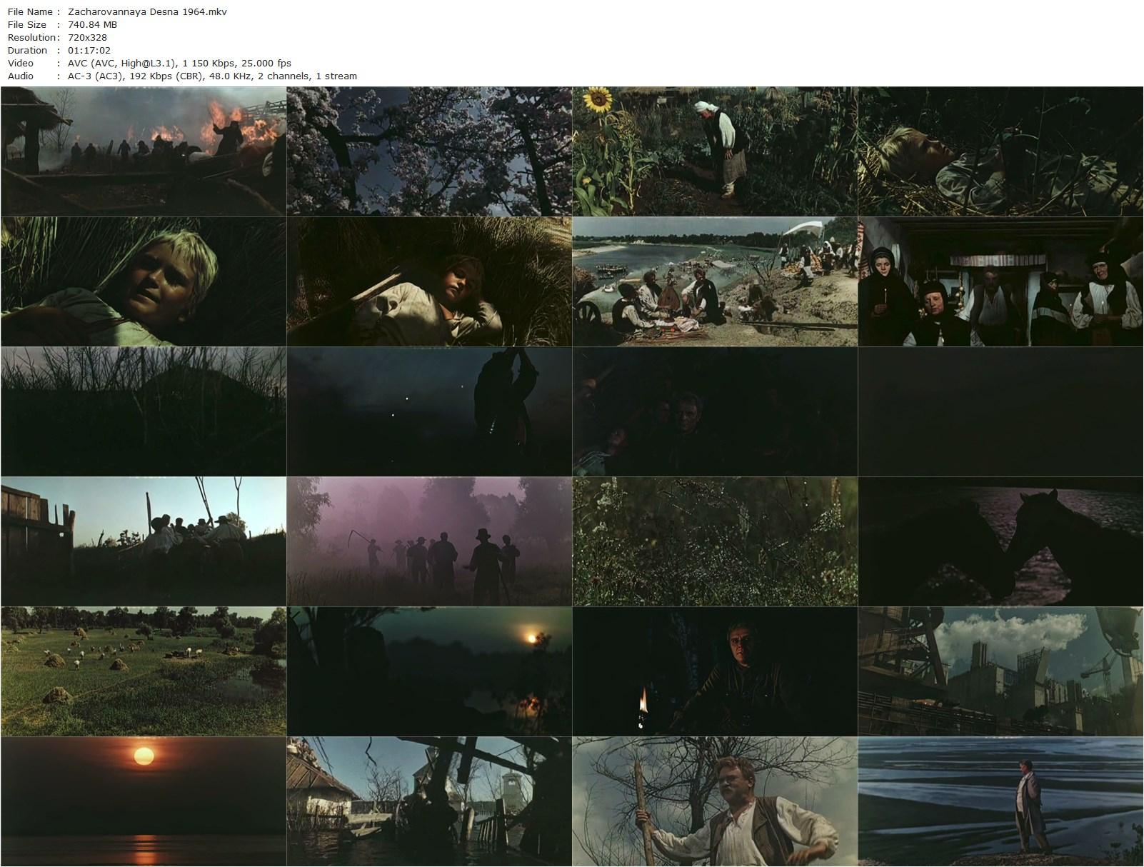 The Enchanted Desna (1964) Yuliya Solntseva, Boris Andreyev, Evgeniy Bondarenko, Vladimir Goncharov-poster