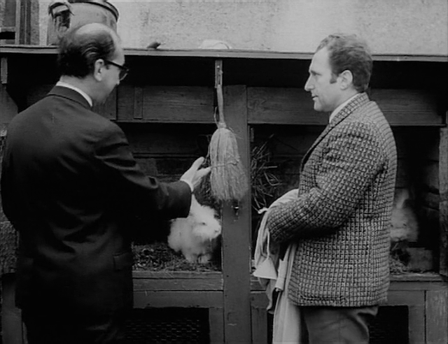 Zahrada (1968) | Worldscinema | Download Free-poster