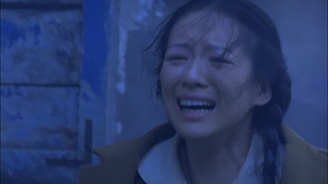 Zi hu die (2003)-poster