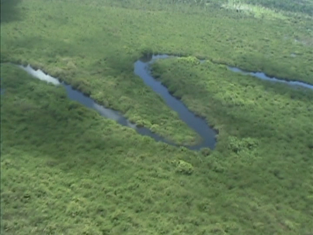 Henry Hills - arcana (2011)-poster