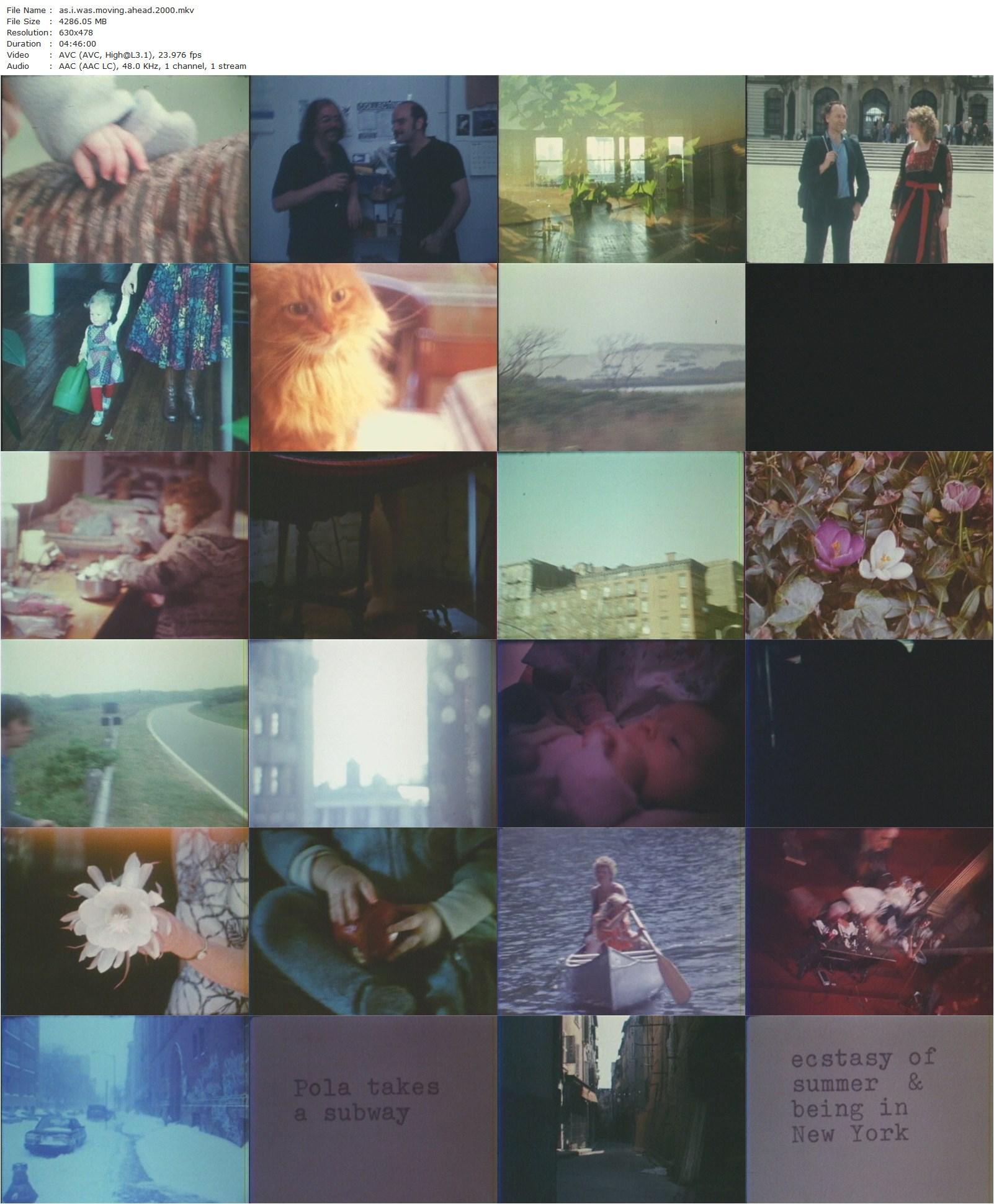 As I Was Moving Ahead Occasionally I Saw Brief Glimpses of Beauty (2000) Jonas Mekas, Jane Brakhage, Stan Brakhage-poster