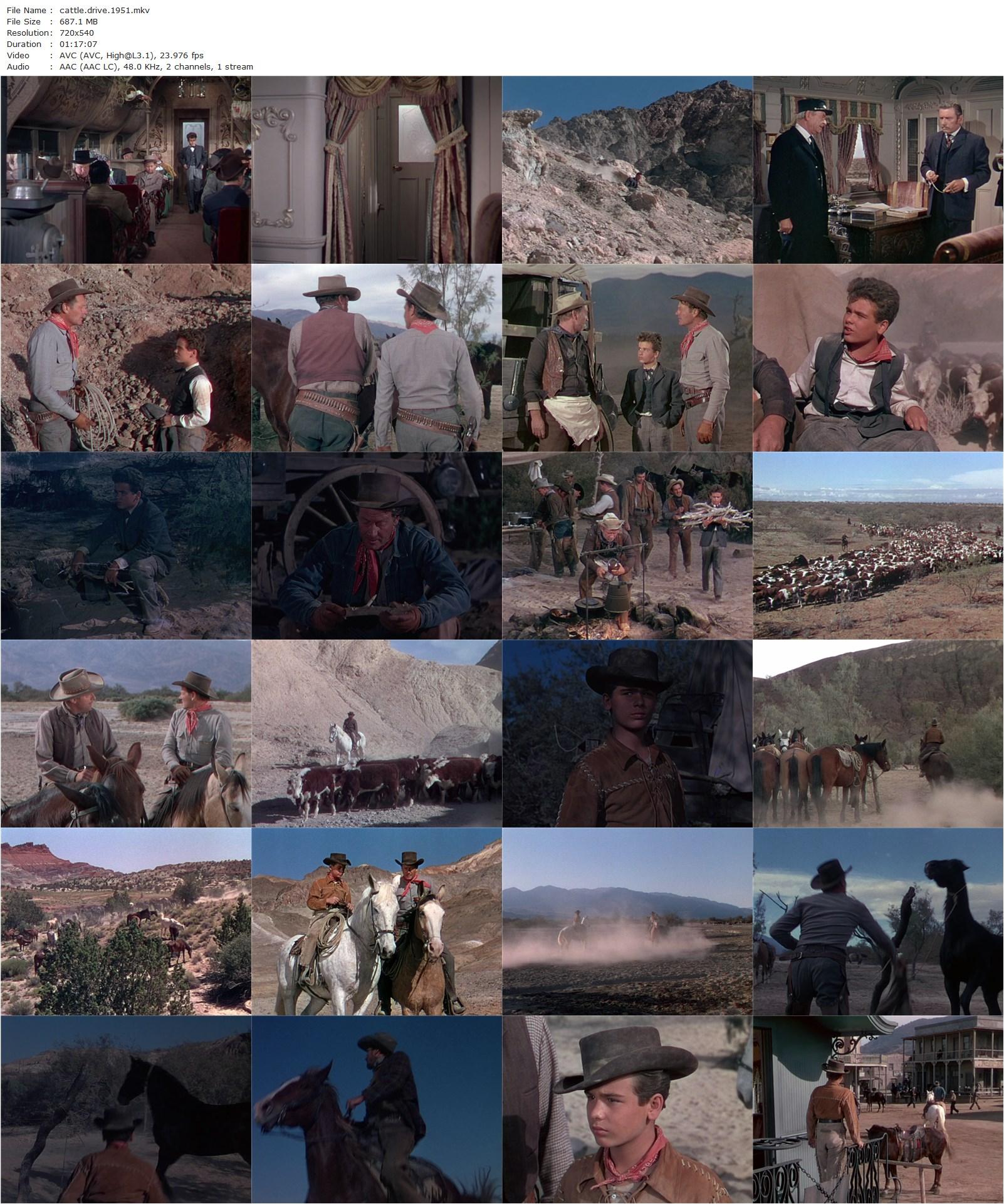 Cattle Drive (1951) Kurt Neumann, Joel McCrea, Dean Stockwell, Chill Wills-poster