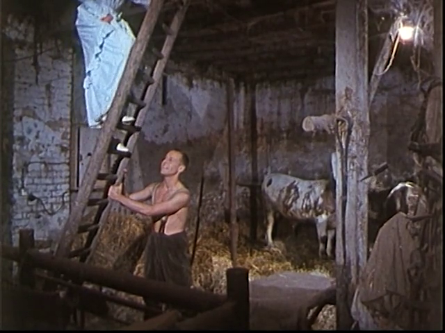 Ich bin meine eigene Frau (1992) by Rosa von Praunheim-poster