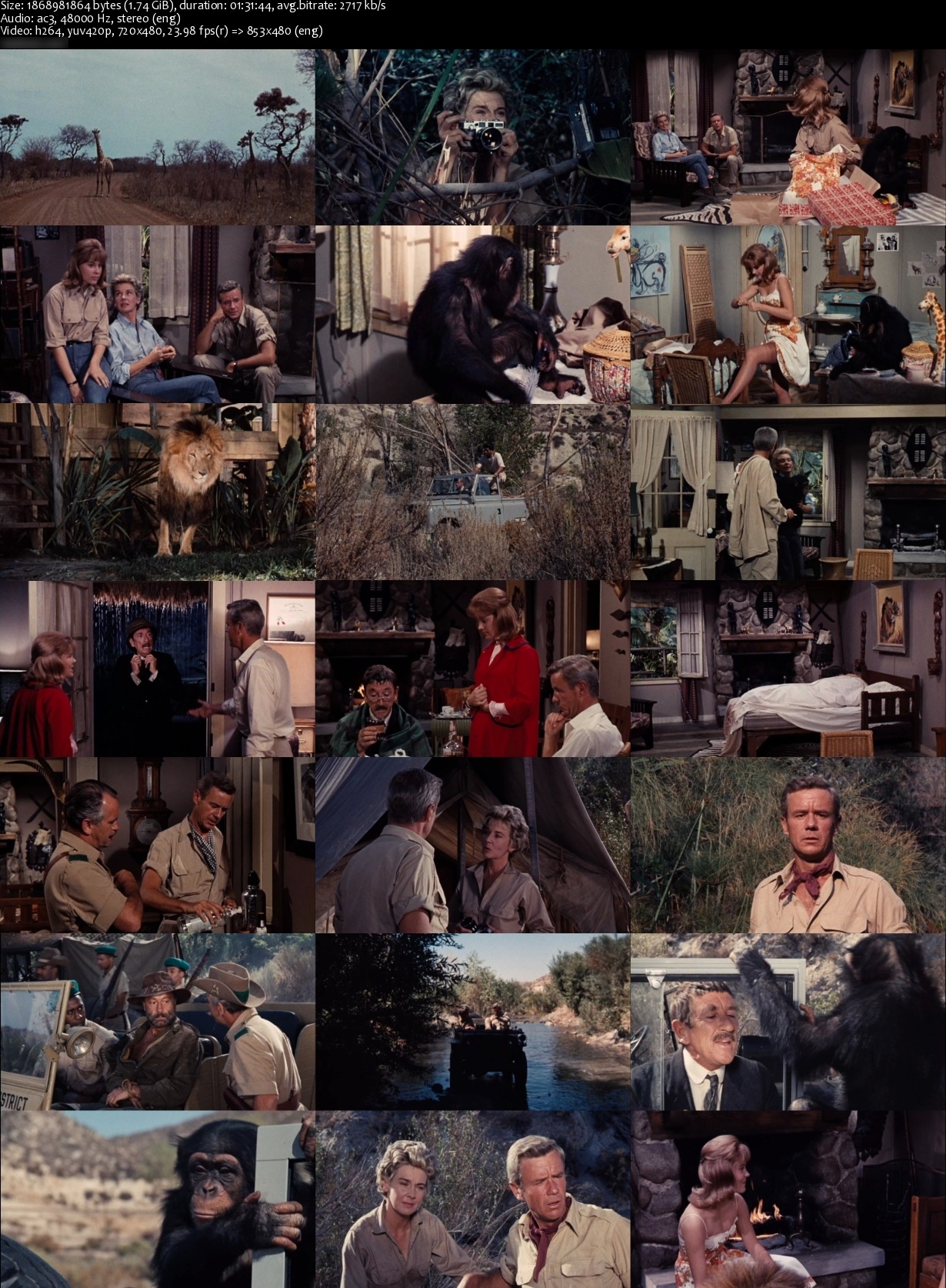 Clarence the Cross Eyed Lion (1965) Andrew Marton, Marshall Thompson, Betsy Drake, Richard Haydn-poster