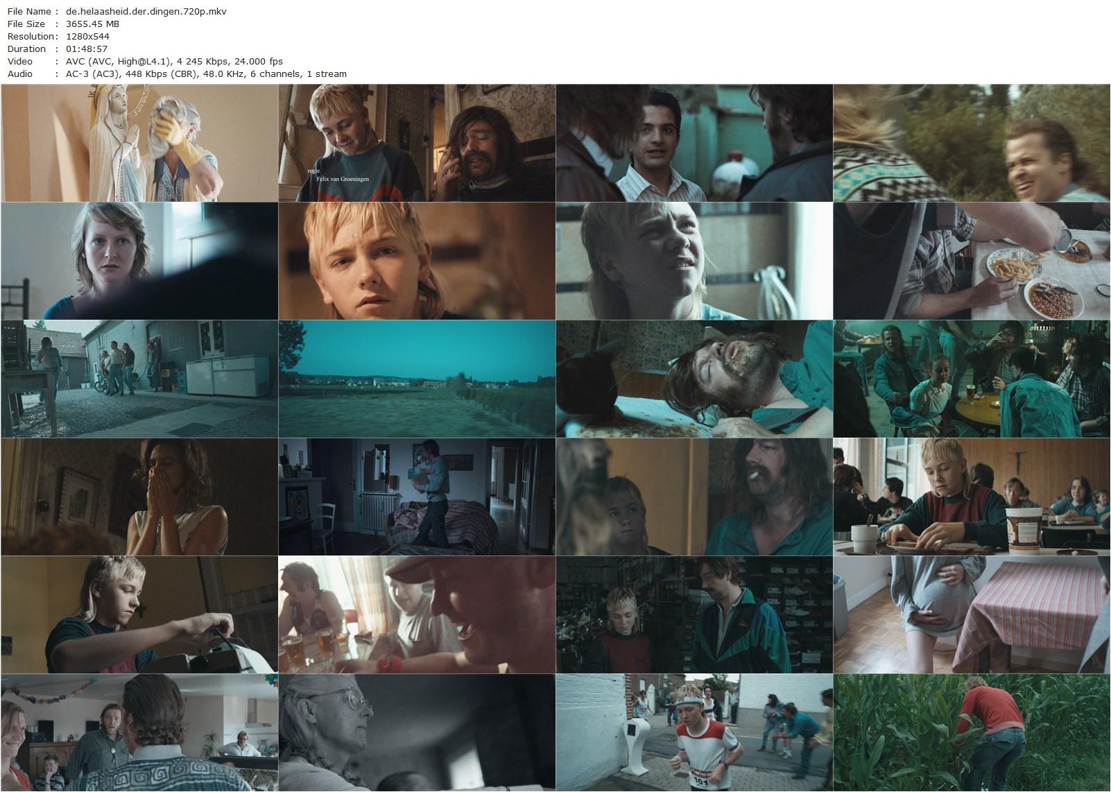 The Misfortunates (2009) Felix van Groeningen, Kenneth Vanbaeden, Valentijn Dhaenens, Koen De Graeve, Wouter Hendrickx-poster