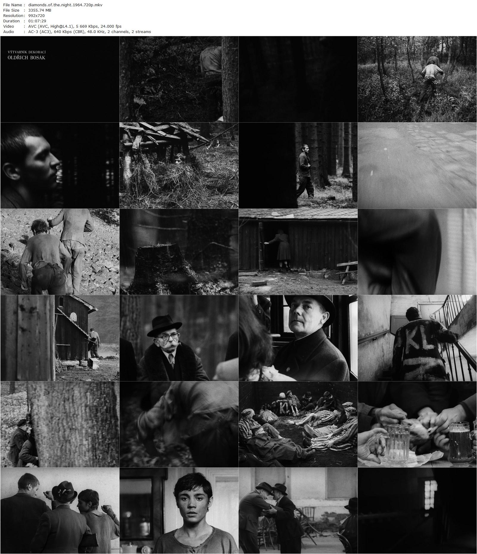 Diamonds of the Night (1964) Jan Nemec, Ladislav Jánsky, Antonín Kumbera, Ilse Bischofova-poster