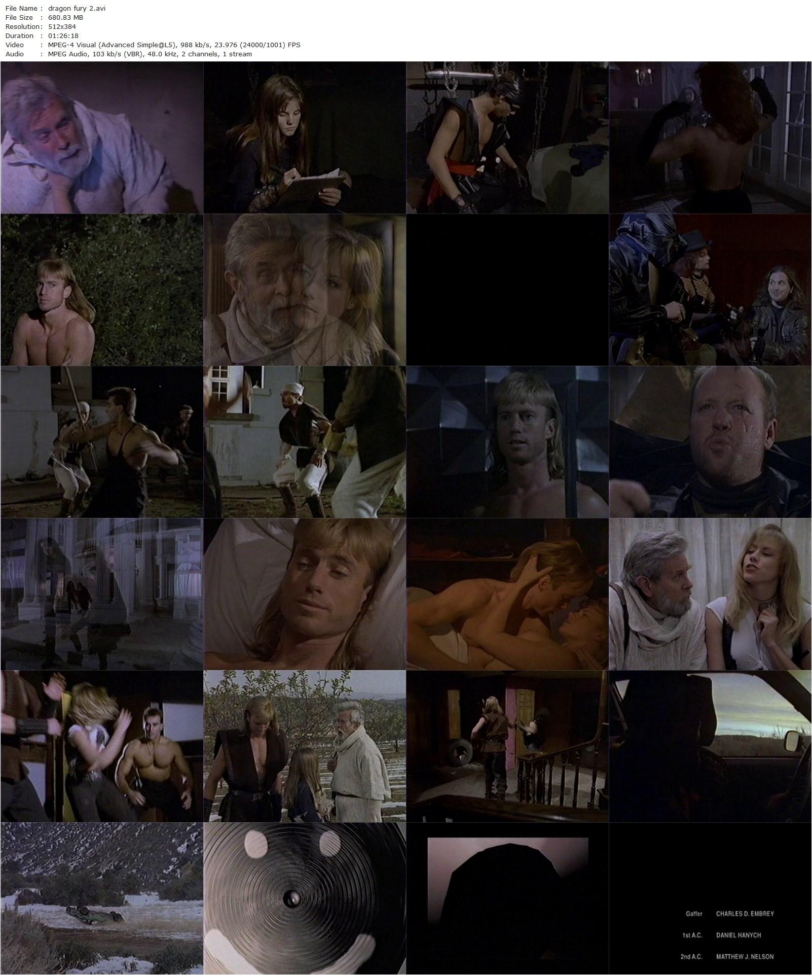 Dragon Fury II (1996) Bryan Michael Stoller, Robert Chapin, Mike Norris, Walter O’Neil-poster