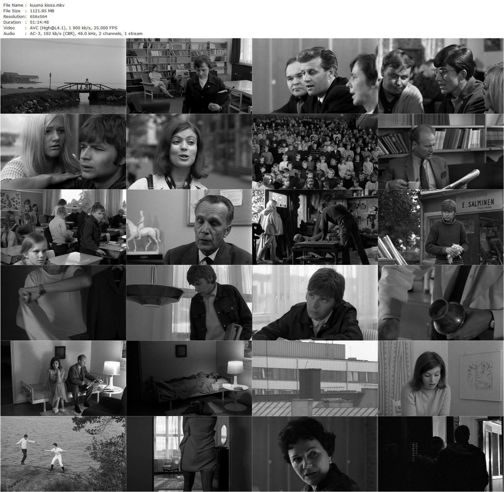 Hot Cat? AKA Kuuma kissa? (1968) Erkko Kivikoski, Maarita Mäkelä, Eero Melasniemi, Kurt Ingvall-poster