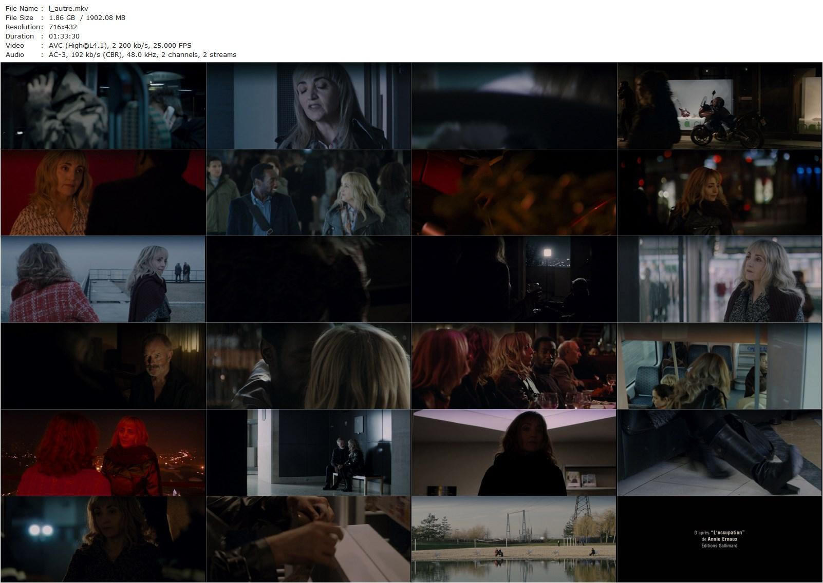 The Other One AKA L’autre (2008) Patrick-Mario Bernard, Pierre Trividic, Dominique Blanc, Peter Bonke, Cyril Gueï-poster