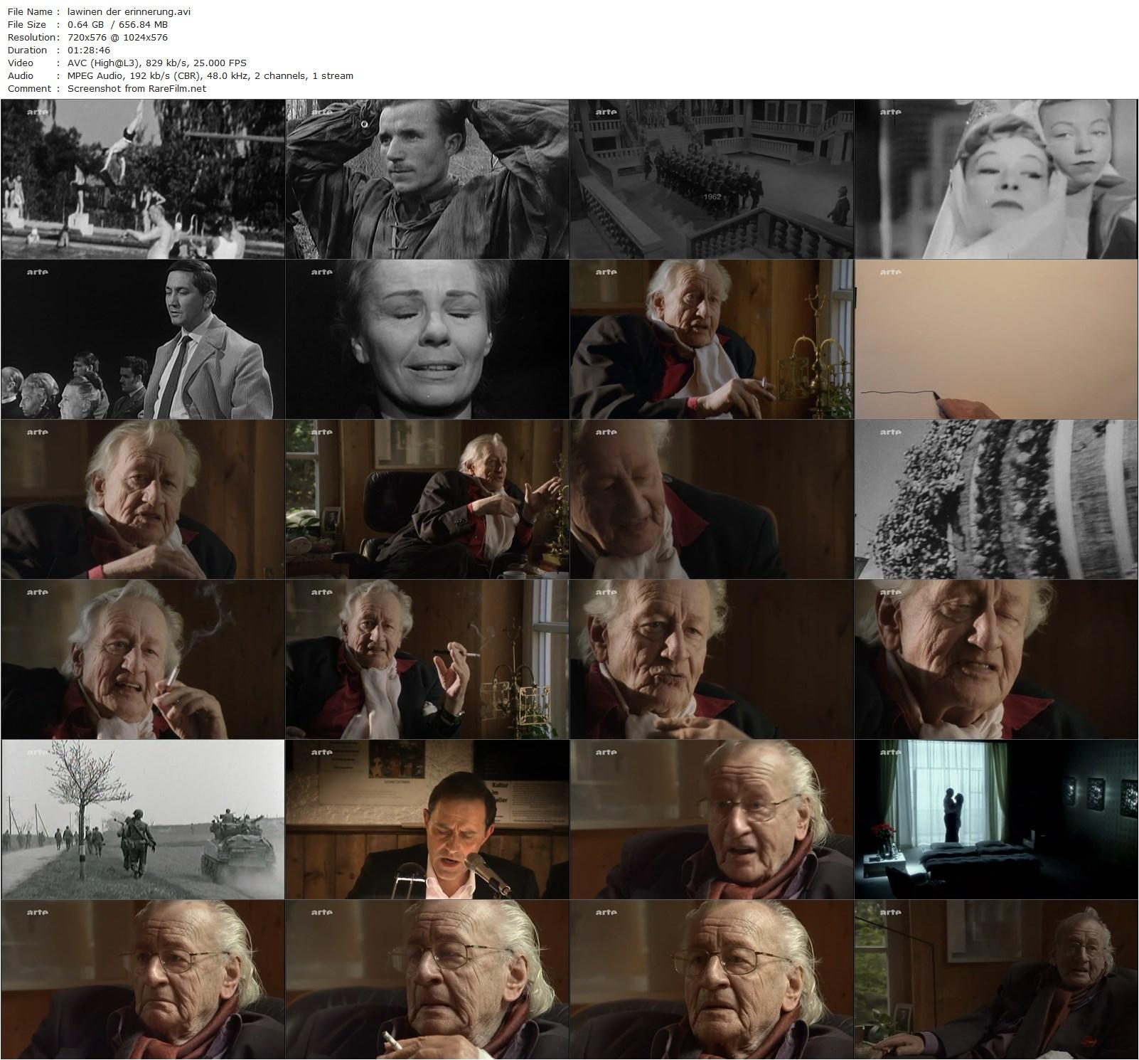 Lawinen der Erinnerung (2012) Dominik Graf, Eva Kruijssen, Oliver Storz-poster