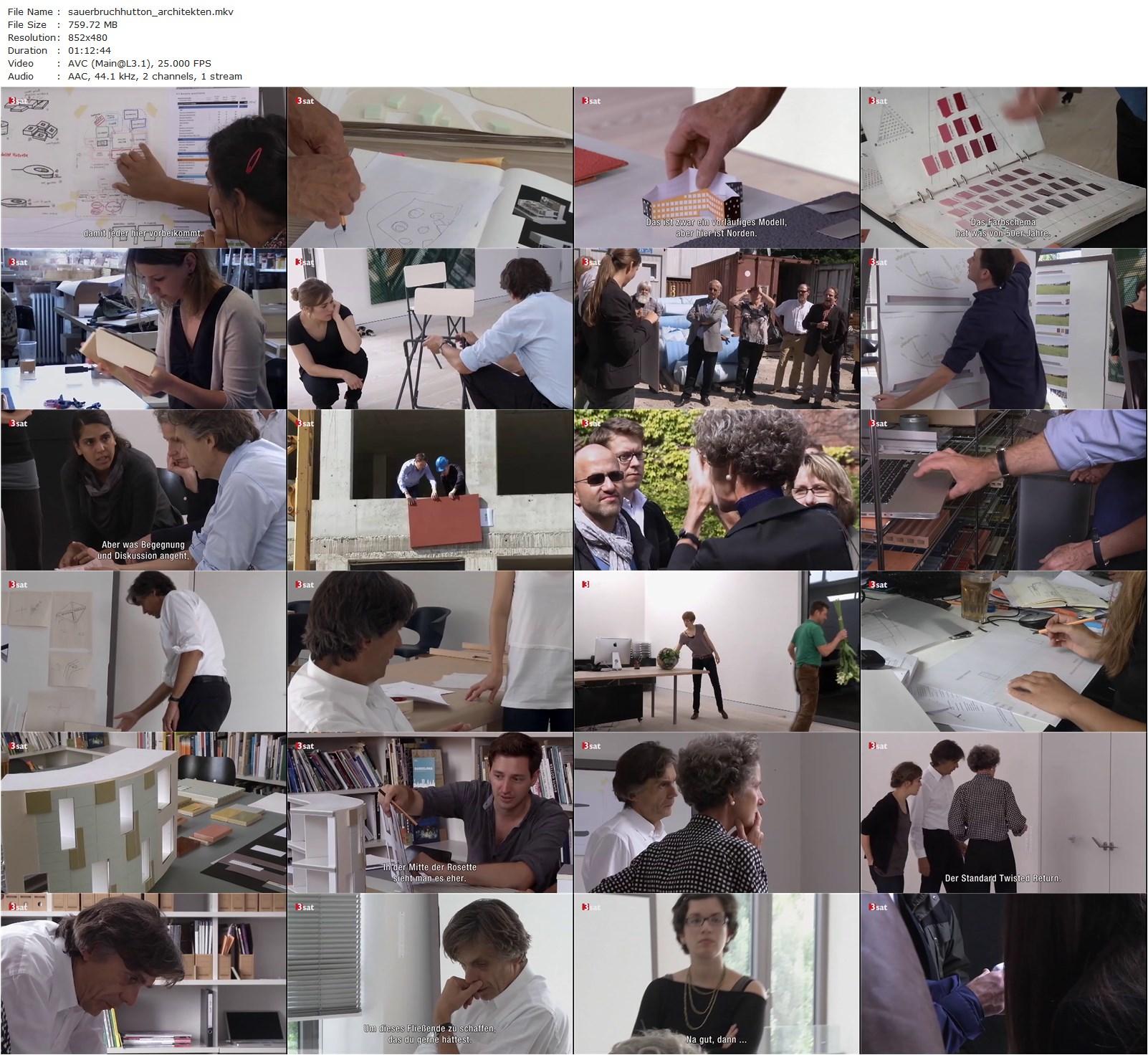 Sauerbruch Hutton Architekten (2013) Harun Farocki, Louisa Hutton, Matthias Sauerbruch-poster