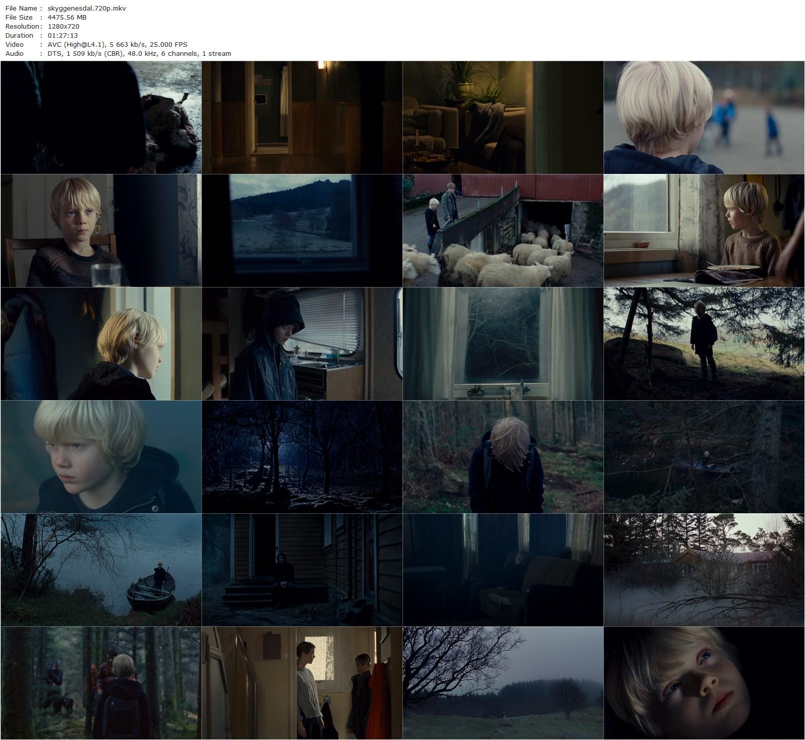 Valley of Shadows AKA Skyggenes dal (2017) Jonas Matzow Gulbrandsen, Adam Ekeli, Kathrine Fagerland, John Olav Nilsen-poster