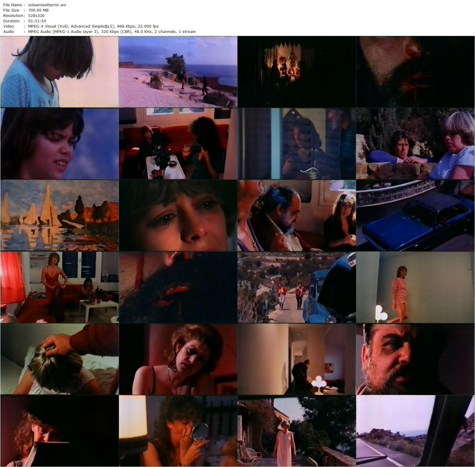 Alone Against Terror (1983) Jesús Franco, Lina Romay, Mabel Escaño, Carmen Carrión-poster