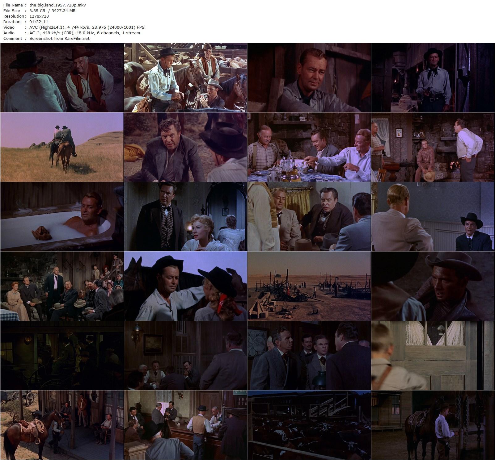 The Big Land (1957) Gordon Douglas, Alan Ladd, Virginia Mayo, Edmond O’Brien-poster