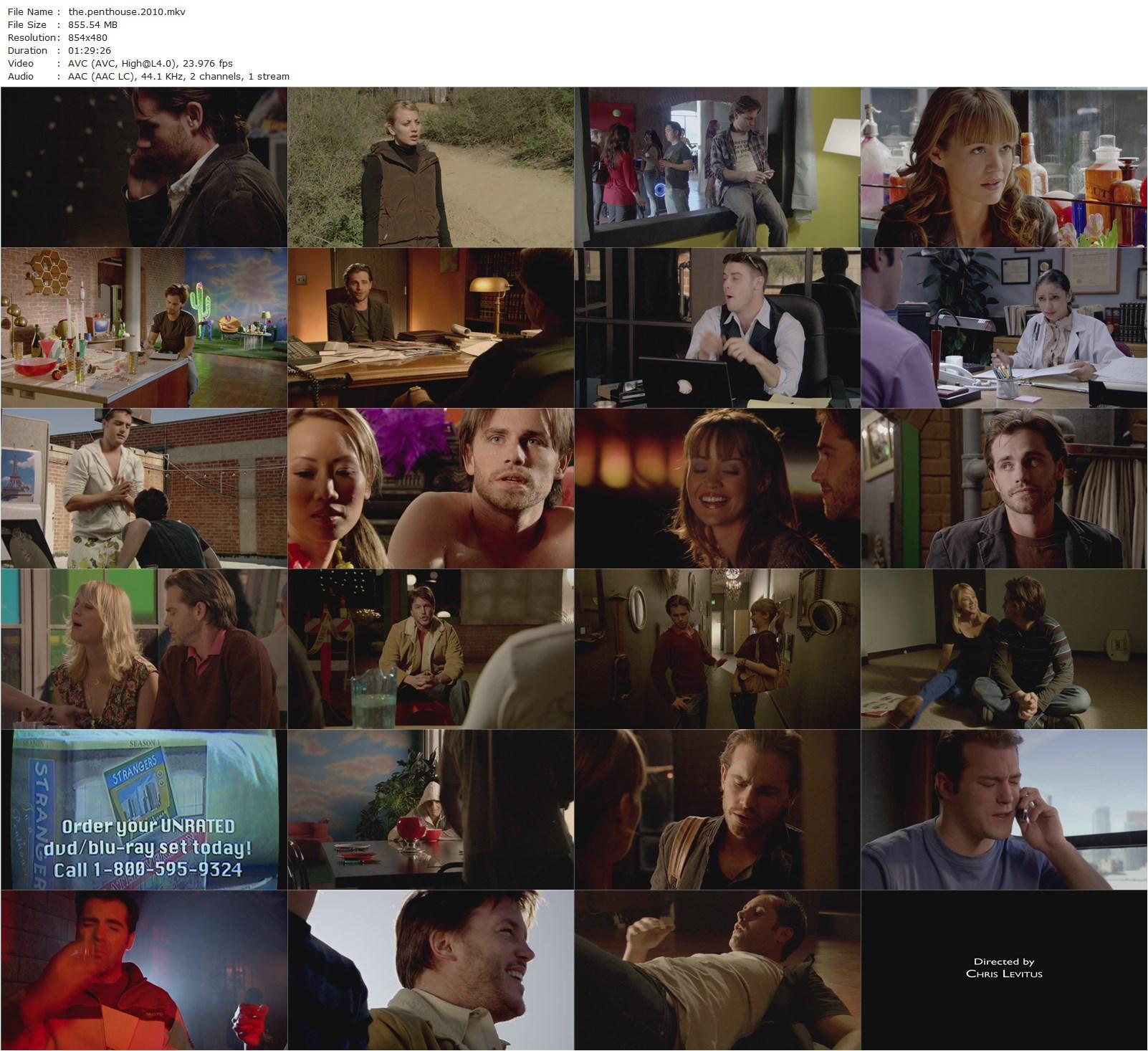 The Penthouse (2010) Chris Levitus, Rider Strong, Corey Large, April Scott-poster