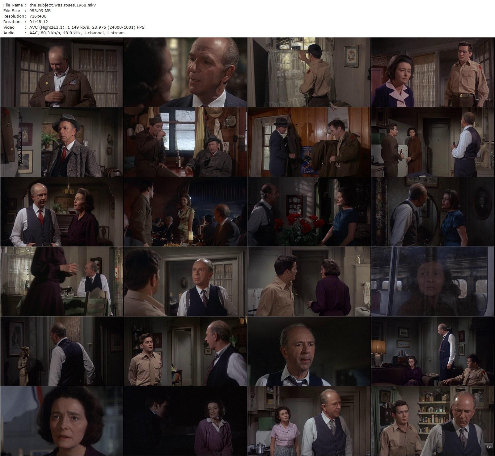 The Subject Was Roses (1968) Ulu Grosbard, Patricia Neal, Jack Albertson, Martin Sheen-poster