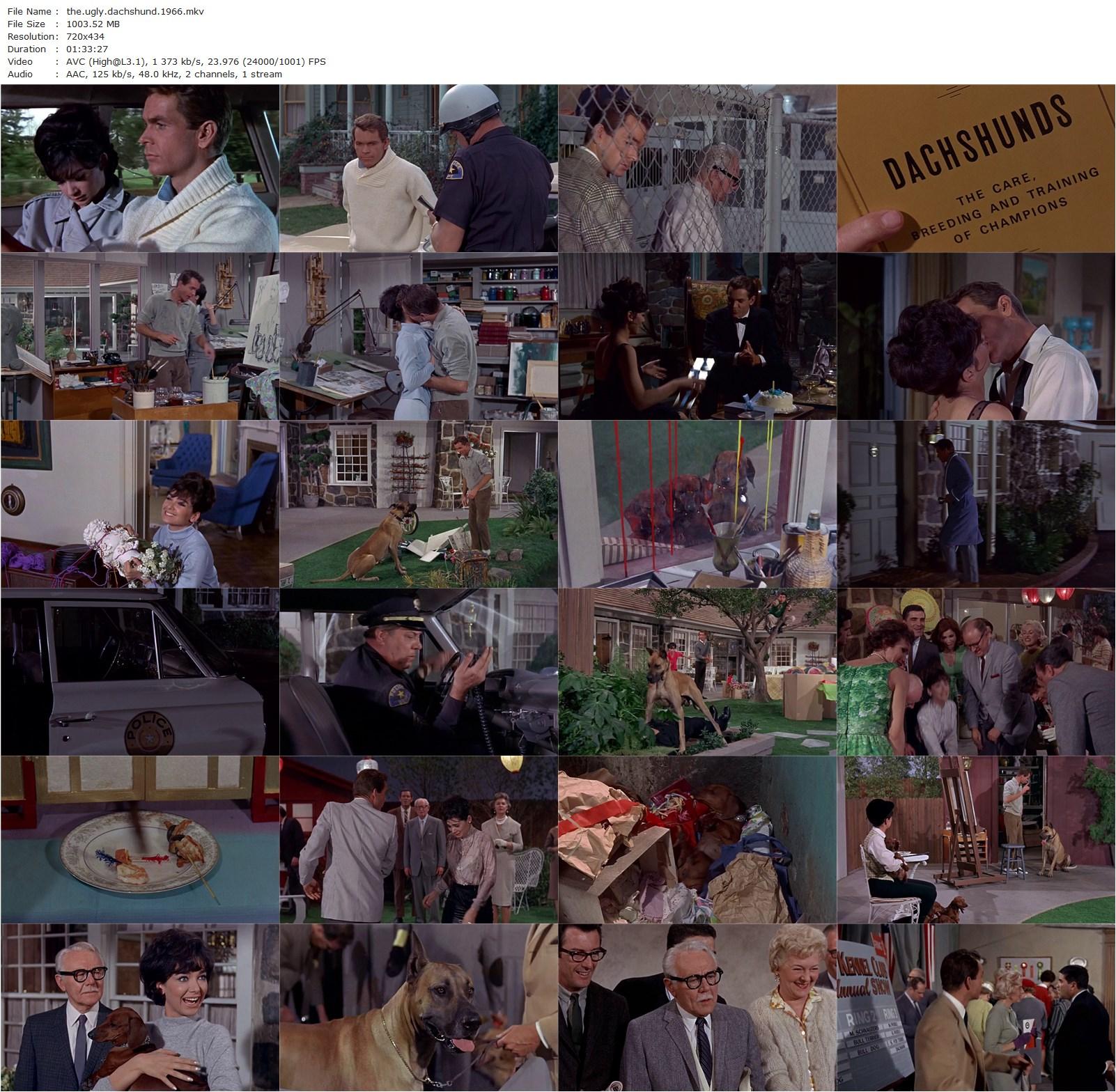 The Ugly Dachshund (1966) Norman Tokar, Dean Jones, Suzanne Pleshette, Charles Ruggles-poster