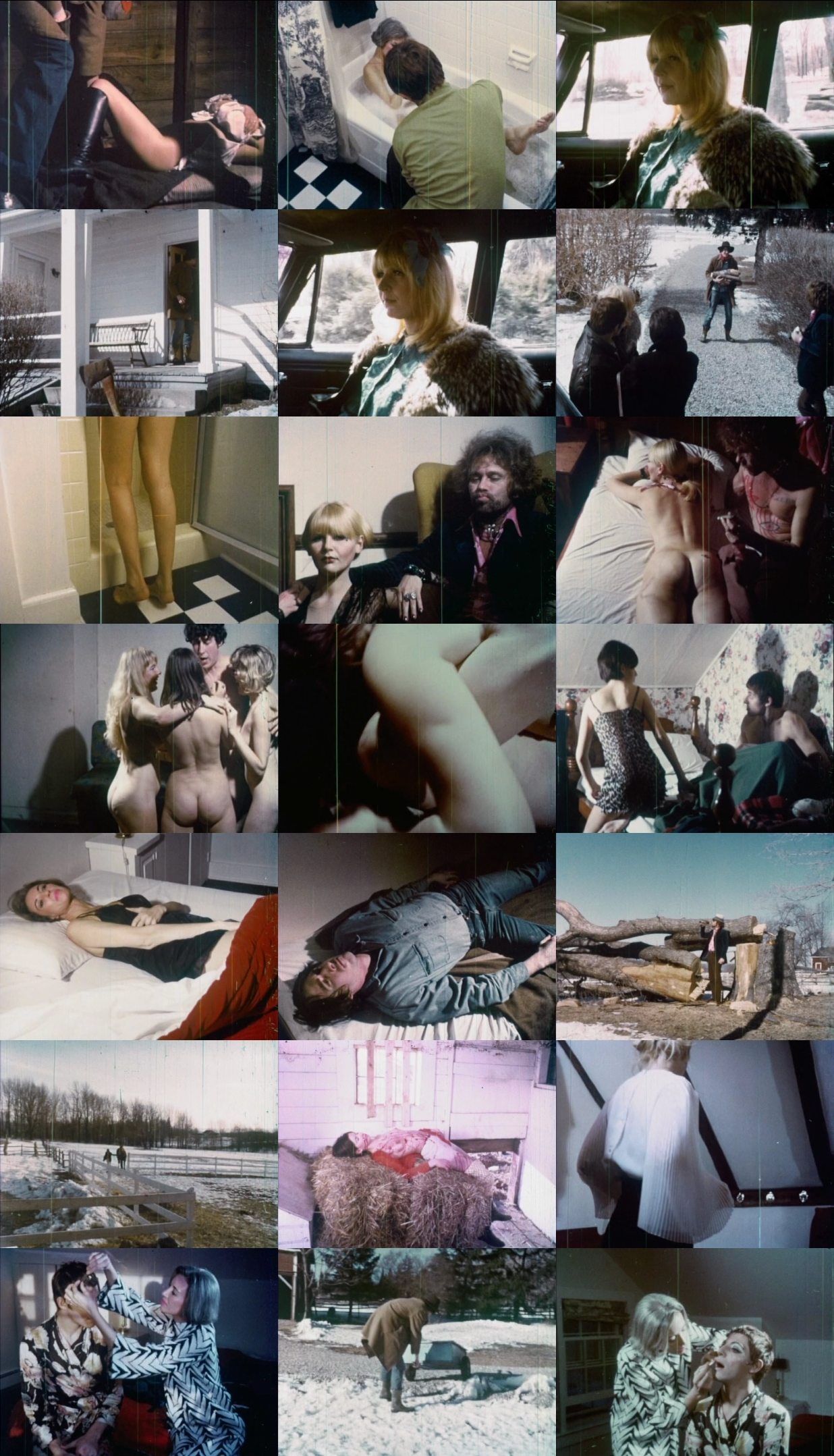 The Erotic Circus (1969) Henri Pachard, Jaimy Royale, Lotta Bass, Sagg Taras-poster