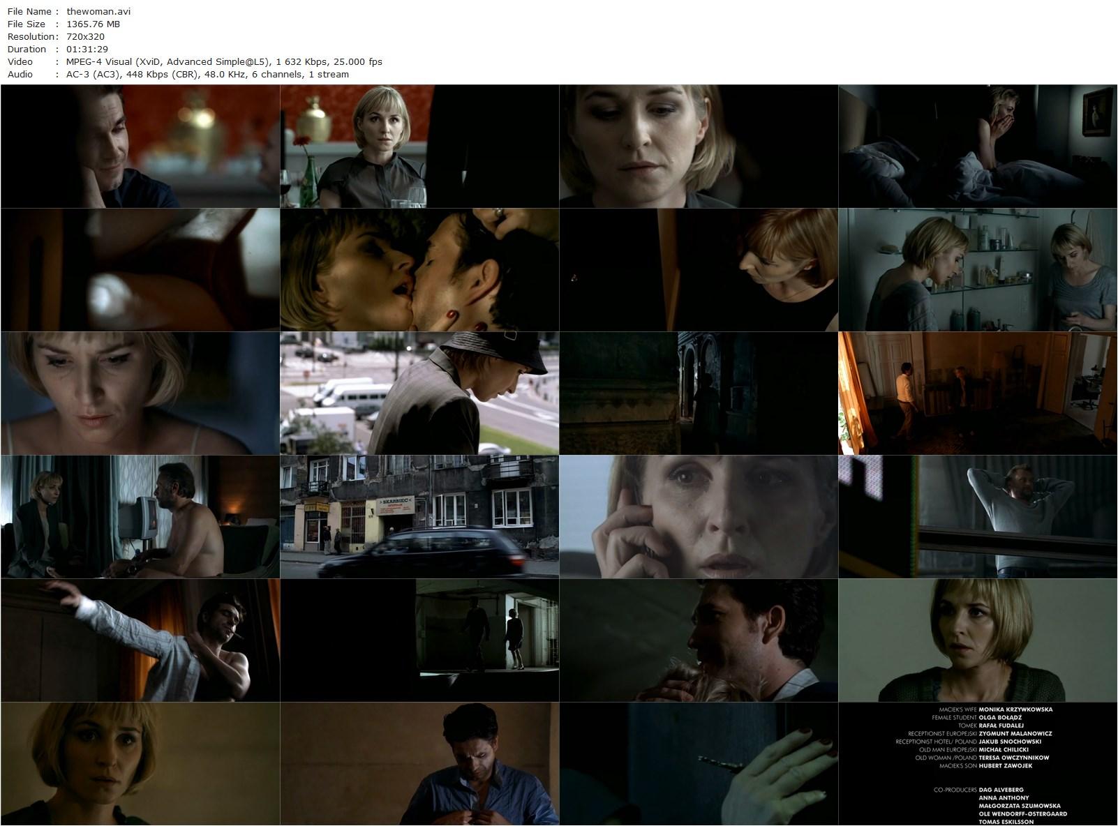 The Woman That Dreamed About a Man (2010) Per Fly, Sonja Richter, Marcin Dorocinski, Michael Nyqvist-poster