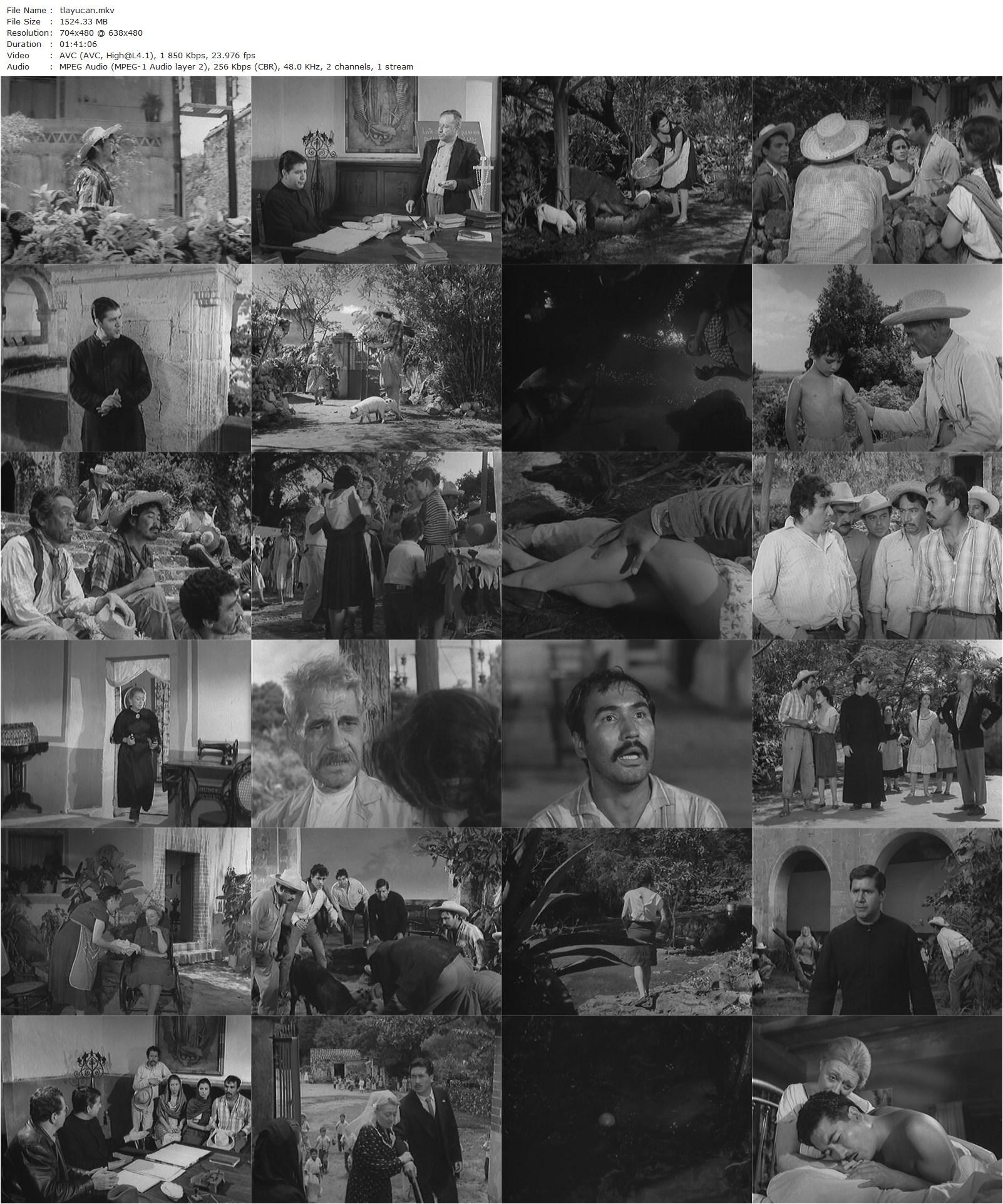 Tlayucan (1962) Luis Alcoriza, Julio Aldama, Norma Angélica, Andrés Soler-poster