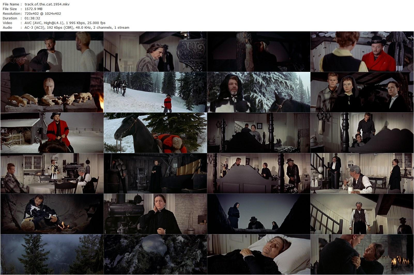 Track of the Cat (1954) William A. Wellman, Robert Mitchum, Teresa Wright, Diana Lynn-poster