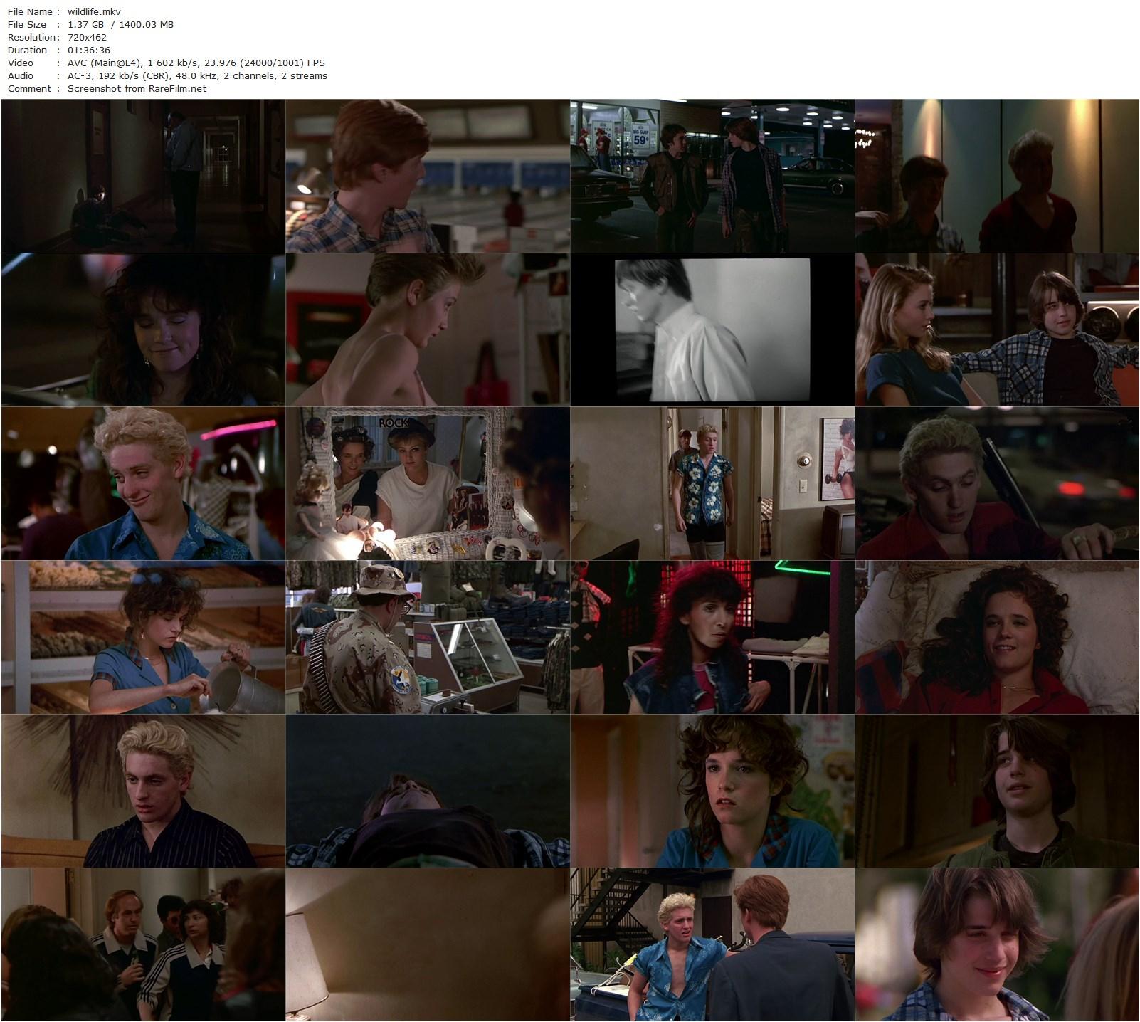 The Wild Life (1984) Art Linson, Chris Penn, Ilan Mitchell-Smith, Eric Stoltz-poster